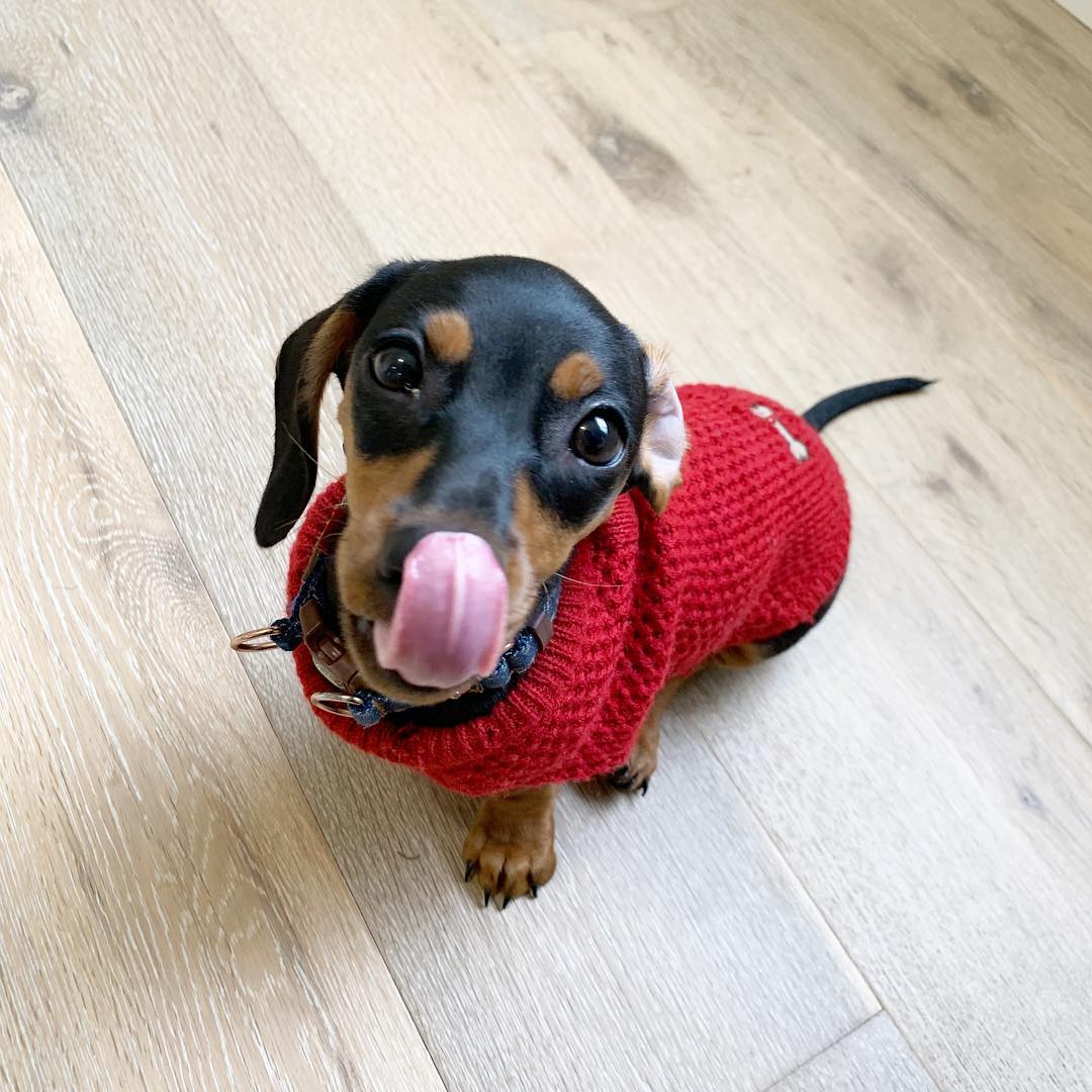 GINA